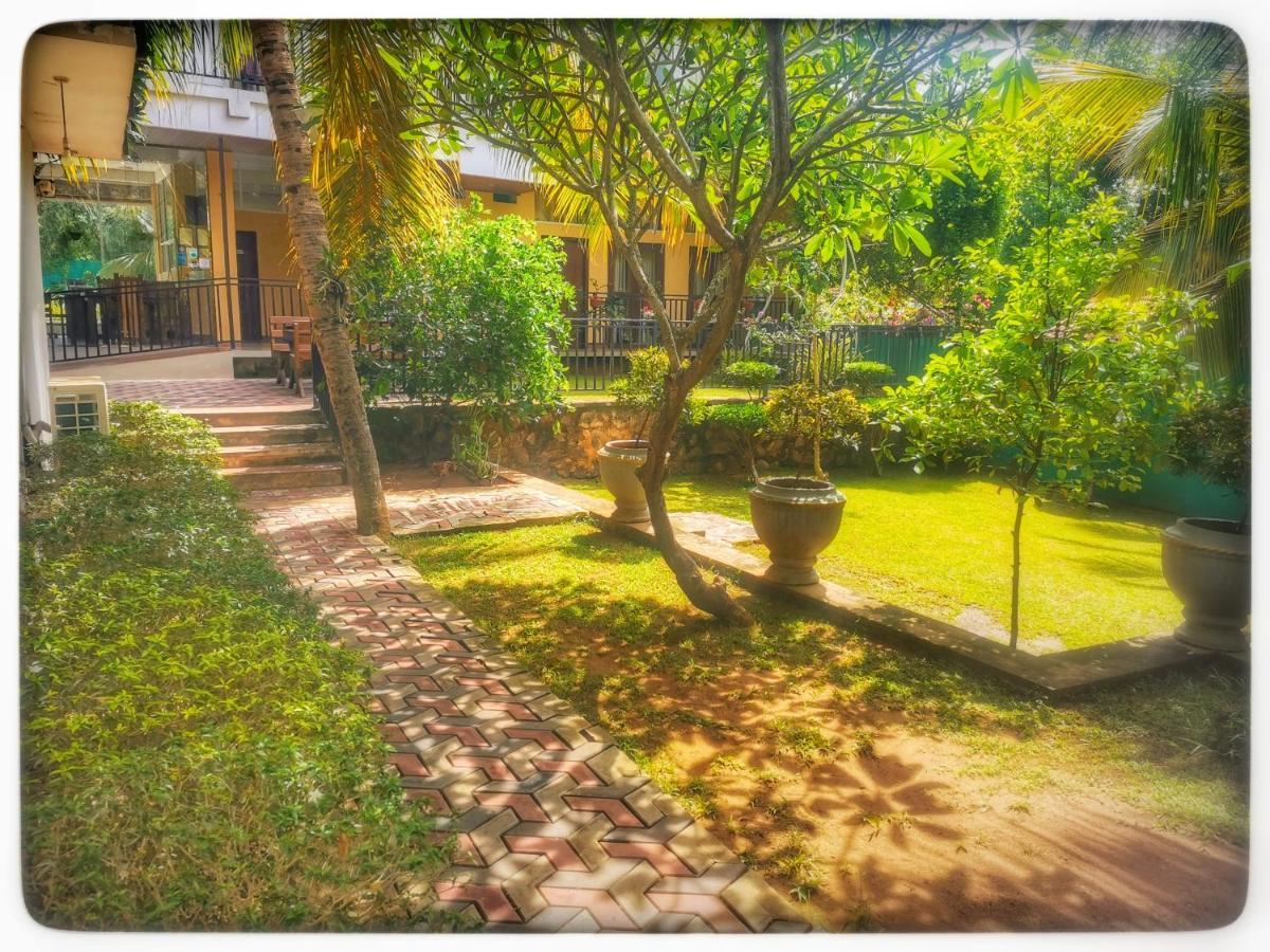 Golden Wild - Yala Hotel Tissamaharama Buitenkant foto