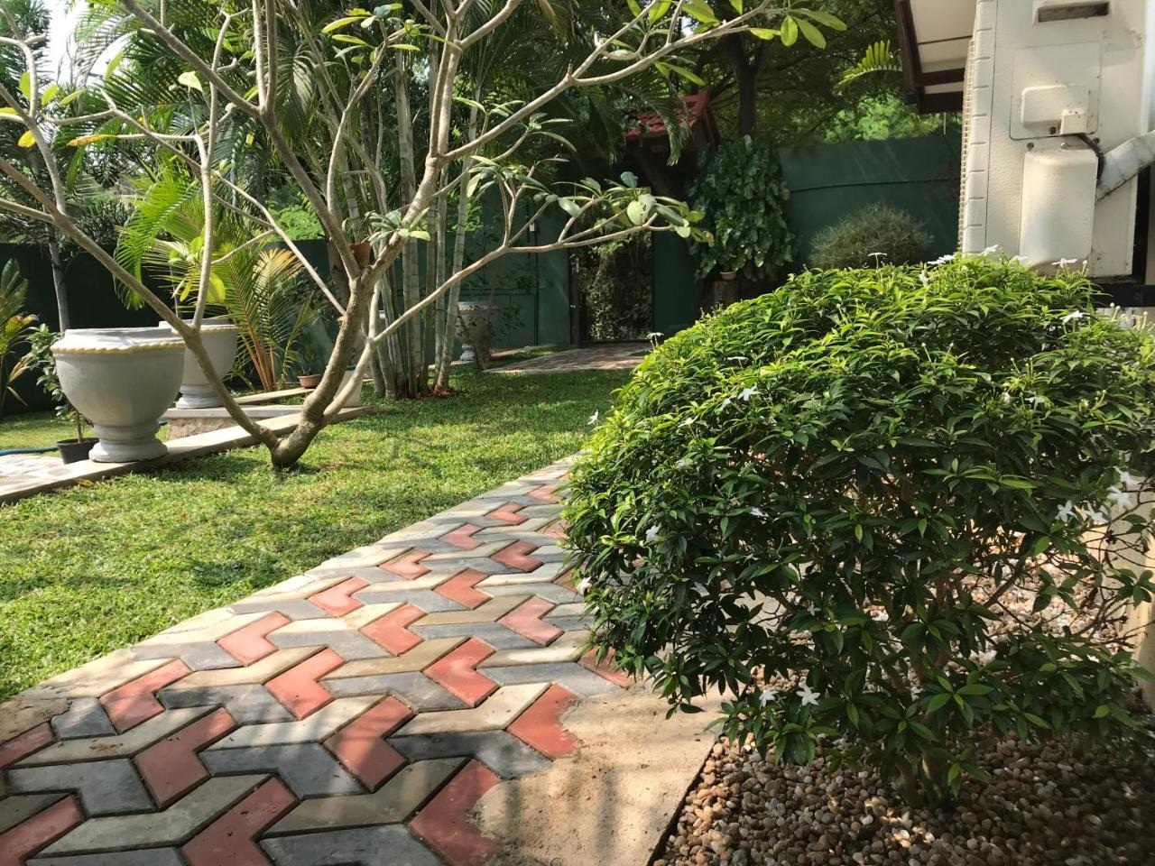 Golden Wild - Yala Hotel Tissamaharama Buitenkant foto