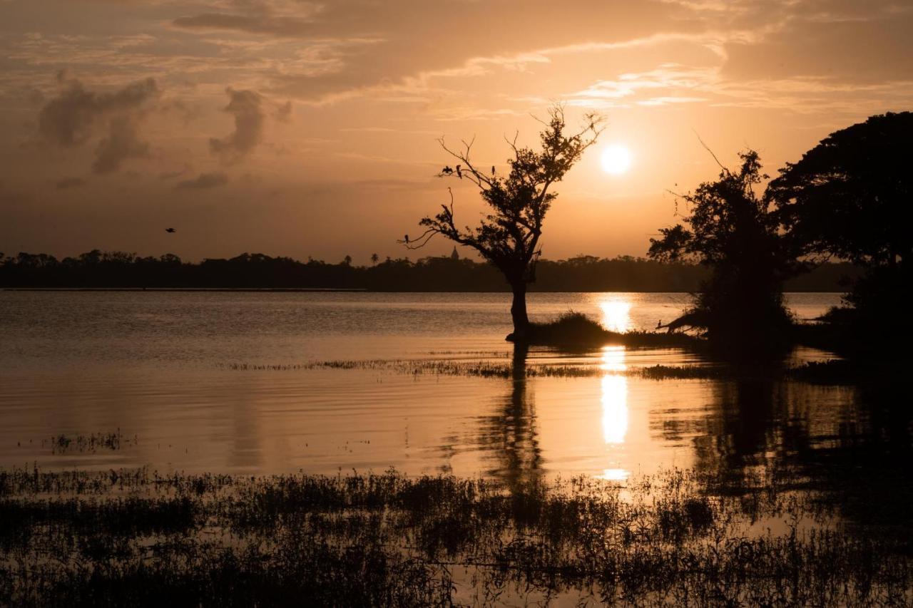Golden Wild - Yala Hotel Tissamaharama Buitenkant foto