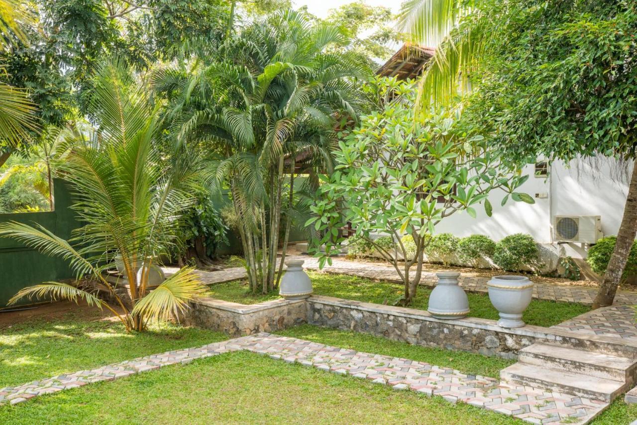 Golden Wild - Yala Hotel Tissamaharama Buitenkant foto