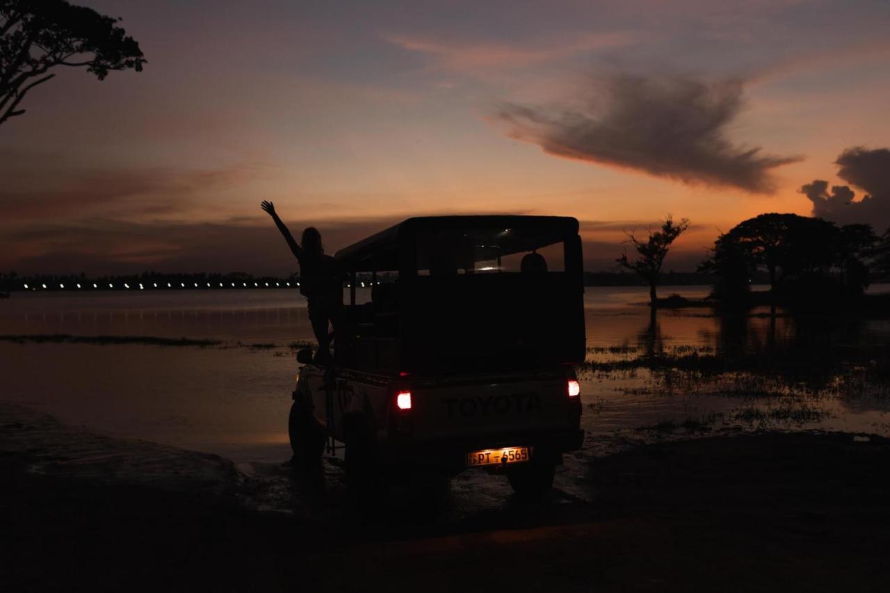 Golden Wild - Yala Hotel Tissamaharama Buitenkant foto