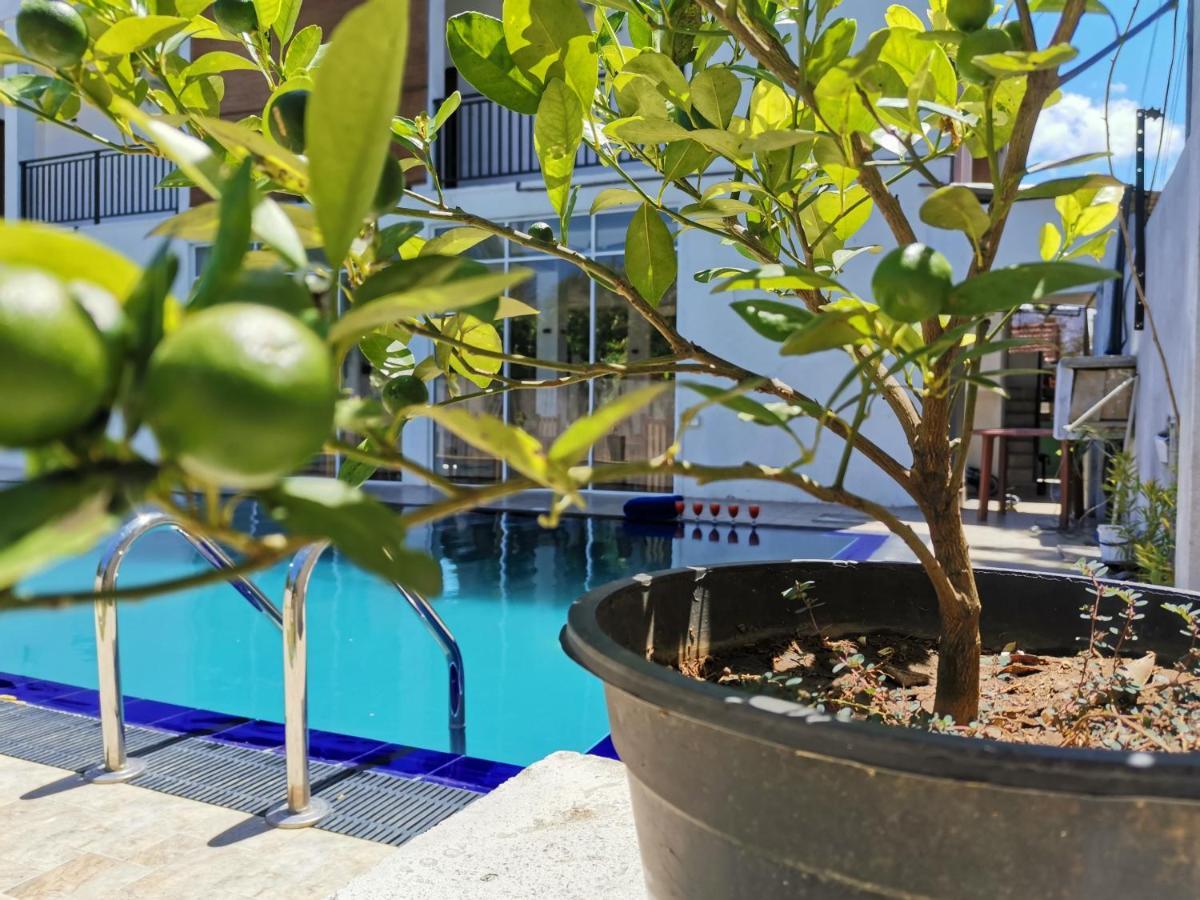 Golden Wild - Yala Hotel Tissamaharama Buitenkant foto